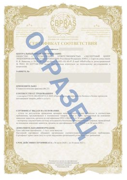 Образец Сертификат СТО 01.064.00220722.2-2020 Елань Сертификат СТО 01.064.00220722.2-2020 
