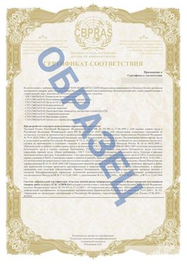 Образец Приложение к СТО 01.064.00220722.2-2020 Елань Сертификат СТО 01.064.00220722.2-2020 